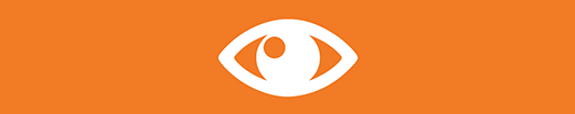Vision-feature