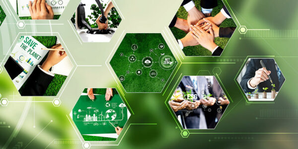 Beyond Compliance - Why HPDs and EPDs Are Critical for Green Building Certifications Feature