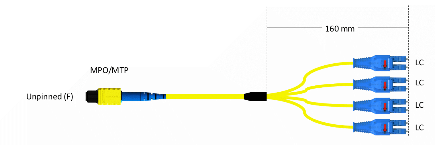 Implementation of Port Breakout in High-Capacity Networks_fig2