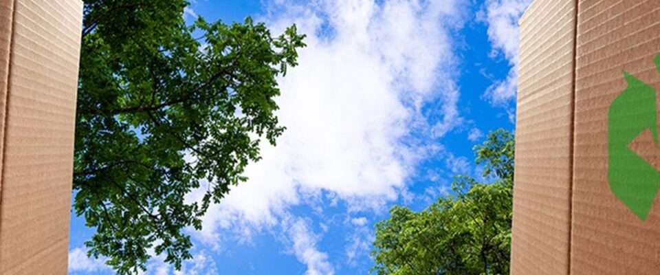 Driving-Downstream-Sustainability-header